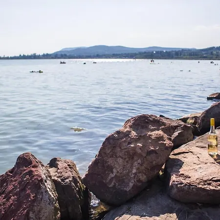 Balaton Wellness Tom Cat Nyaralo 1 Wellness Es 1 Gyermekbarat Apartmannal *