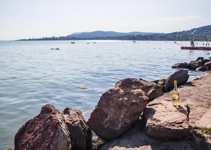 Balaton Wellness Tom Cat Nyaralo 1 Wellness Es 1 Gyermekbarat Apartmannal *