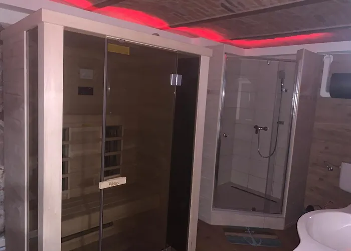 Balaton Wellness Tom Cat Nyaralo 1 Wellness Es 1 Gyermekbarat Apartmannal Kovagoors