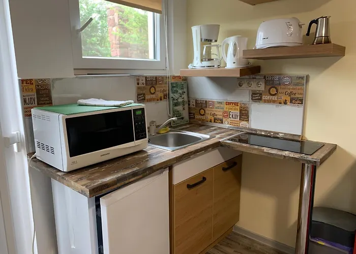 Balaton Wellness Tom Cat Nyaralo 1 Wellness Es 1 Gyermekbarat Apartmannal בית נופש